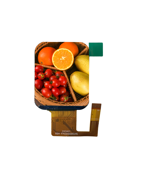 IPS TFT LCD 240X（RGB）X 284 1.83