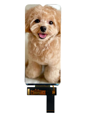 RGH 6,5 polegadas LCD Touch Display 720 ((RGB) X1600 Com 16 LED Backlights